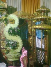 Foto0277